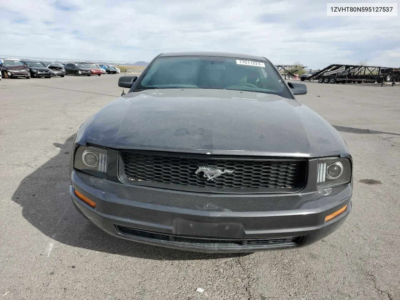 2009 Ford Mustang VIN: 1ZVHT80N595127537 Lot: 77611224