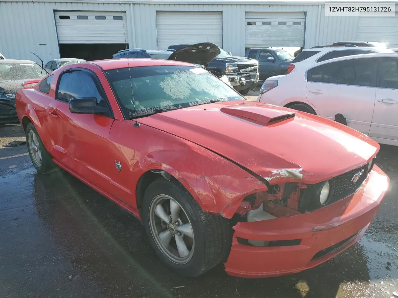 2009 Ford Mustang Gt VIN: 1ZVHT82H795131726 Lot: 80060914