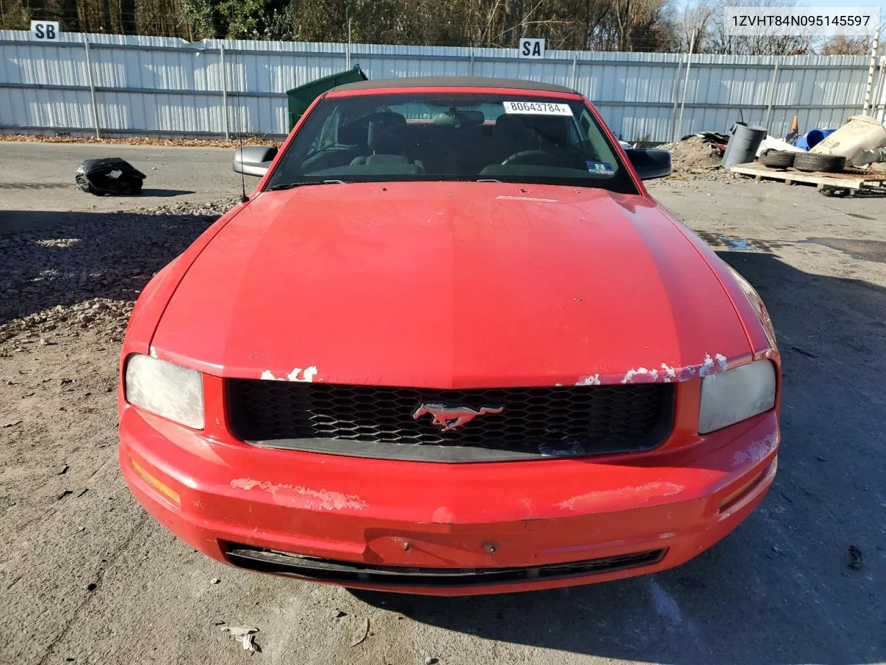 2009 Ford Mustang VIN: 1ZVHT84N095145597 Lot: 80643784