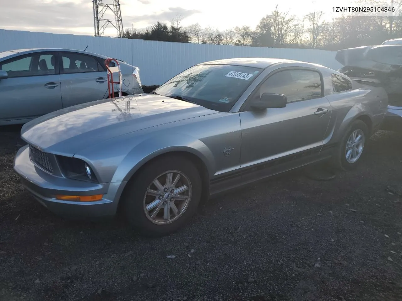 2009 Ford Mustang VIN: 1ZVHT80N295104846 Lot: 81233143