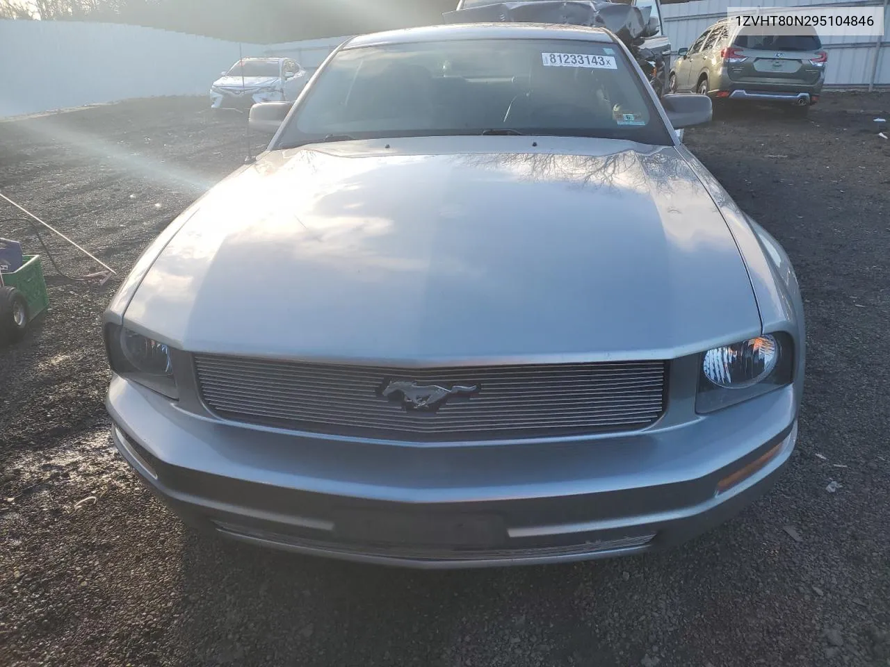 2009 Ford Mustang VIN: 1ZVHT80N295104846 Lot: 81233143