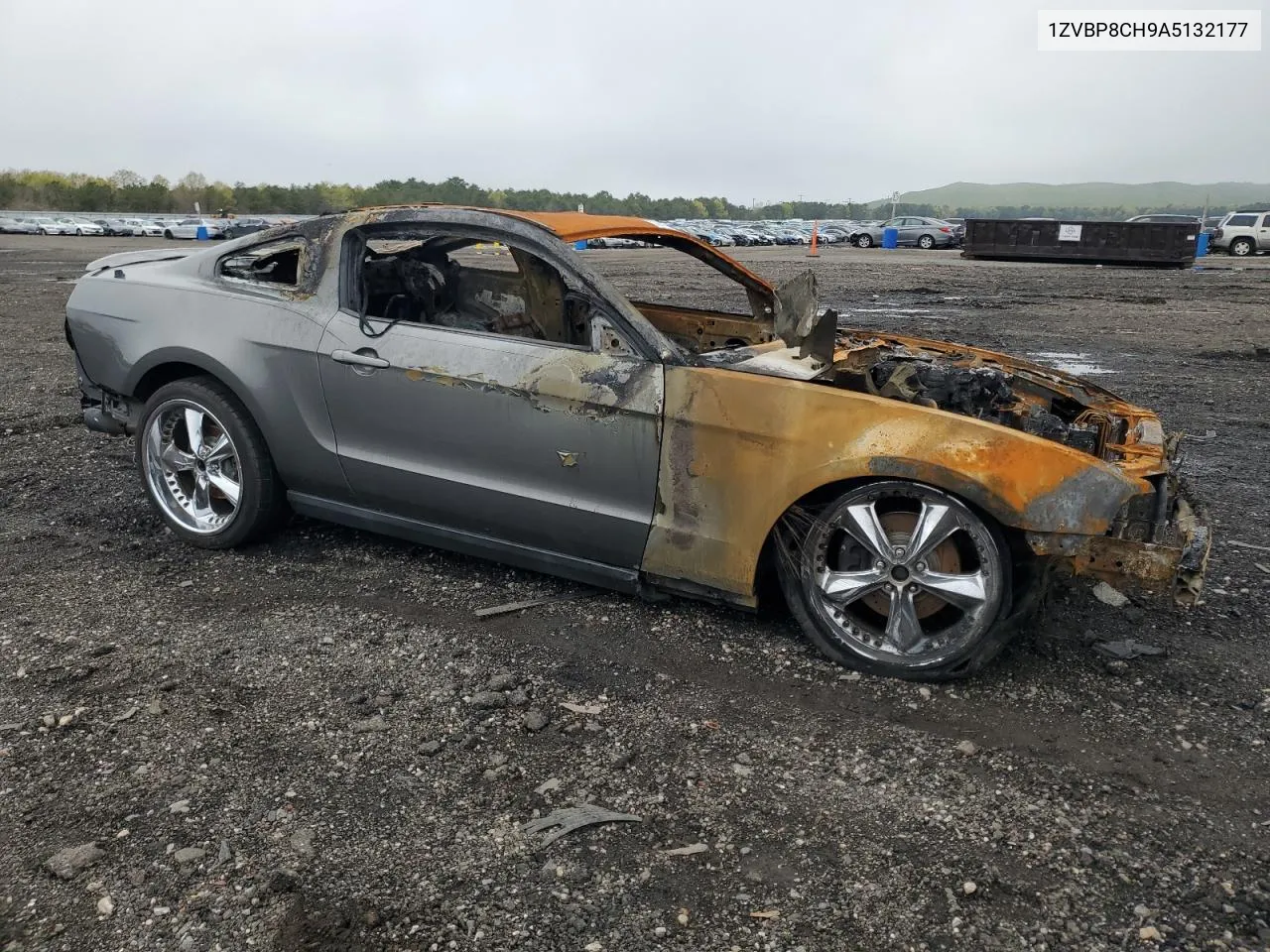 2010 Ford Mustang Gt VIN: 1ZVBP8CH9A5132177 Lot: 52361894