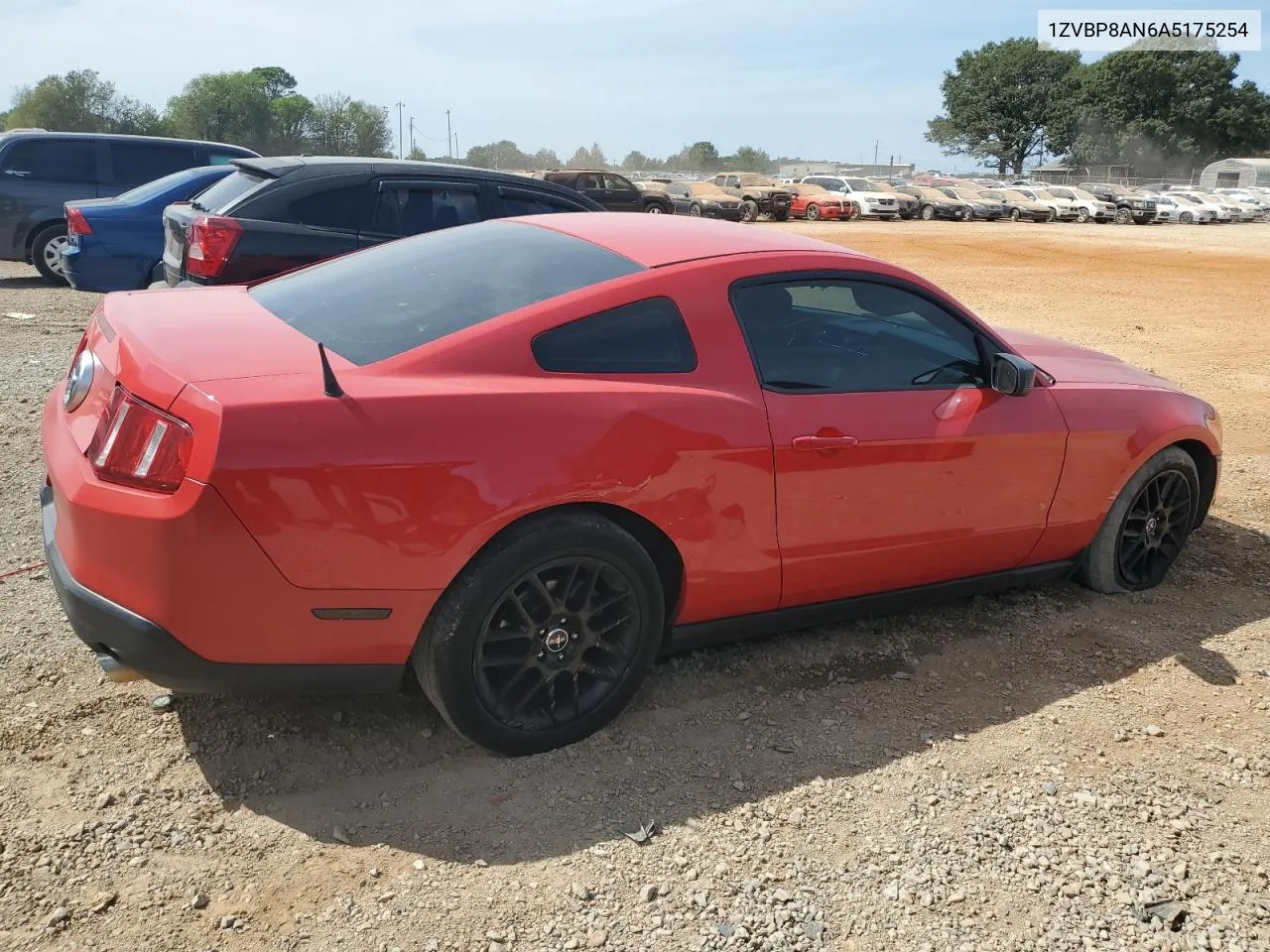 2010 Ford Mustang VIN: 1ZVBP8AN6A5175254 Lot: 71373104