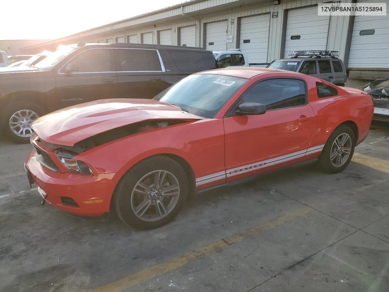 2010 Ford Mustang VIN: 1ZVBP8AN1A5125894 Lot: 78773654