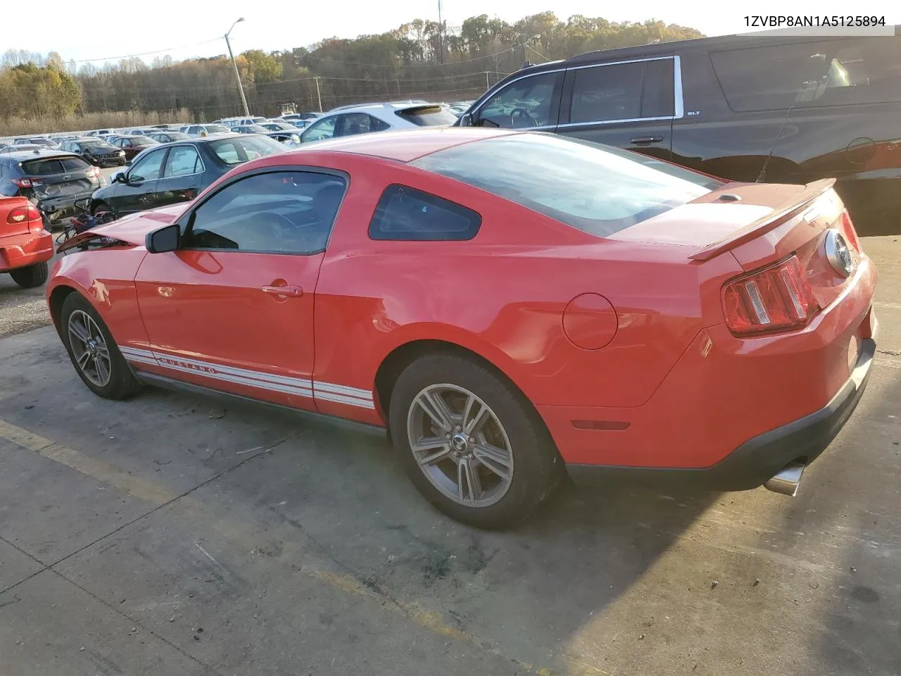 2010 Ford Mustang VIN: 1ZVBP8AN1A5125894 Lot: 78773654