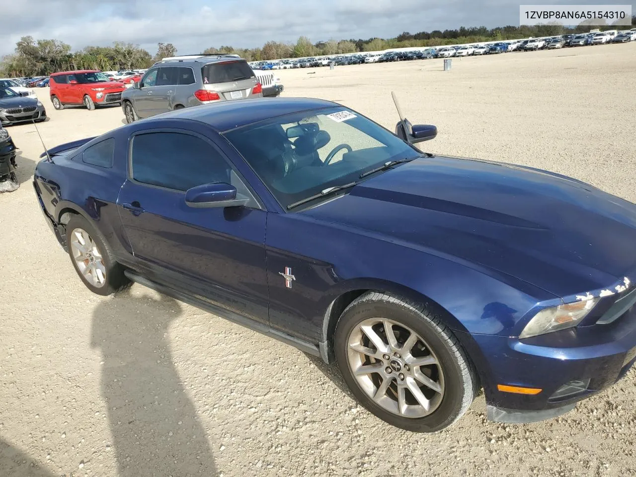 2010 Ford Mustang VIN: 1ZVBP8AN6A5154310 Lot: 79183474