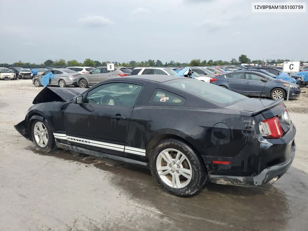 2011 Ford Mustang VIN: 1ZVBP8AM1B5100759 Lot: 67476084