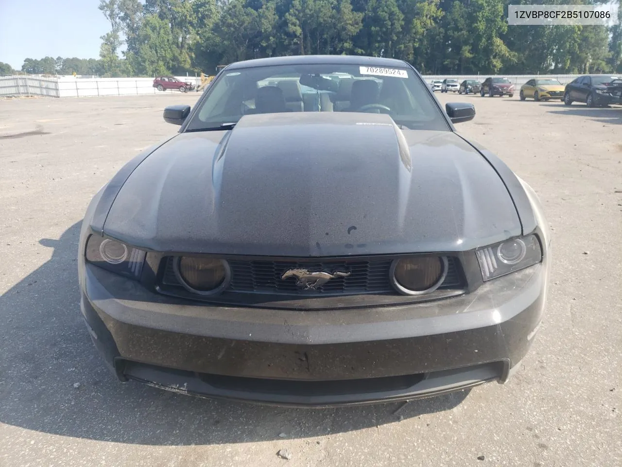 1ZVBP8CF2B5107086 2011 Ford Mustang Gt