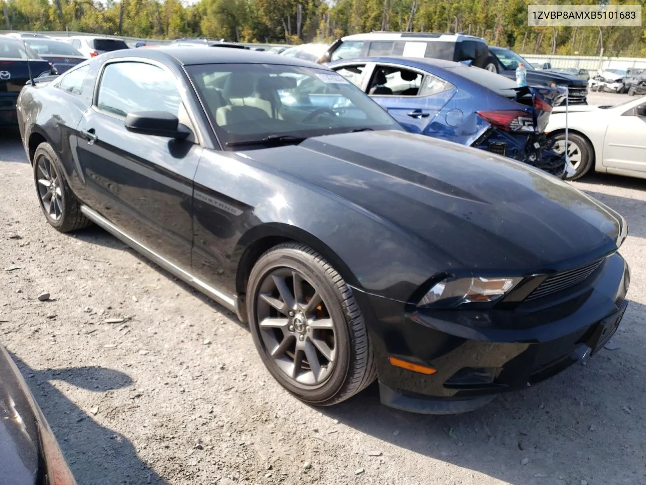 2011 Ford Mustang VIN: 1ZVBP8AMXB5101683 Lot: 71478224