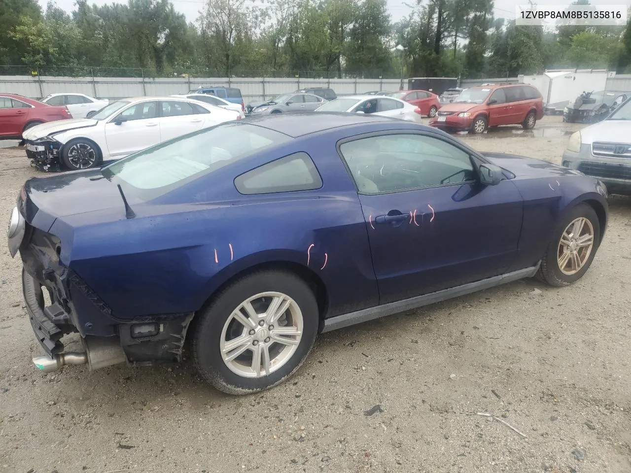 2011 Ford Mustang VIN: 1ZVBP8AM8B5135816 Lot: 72228814