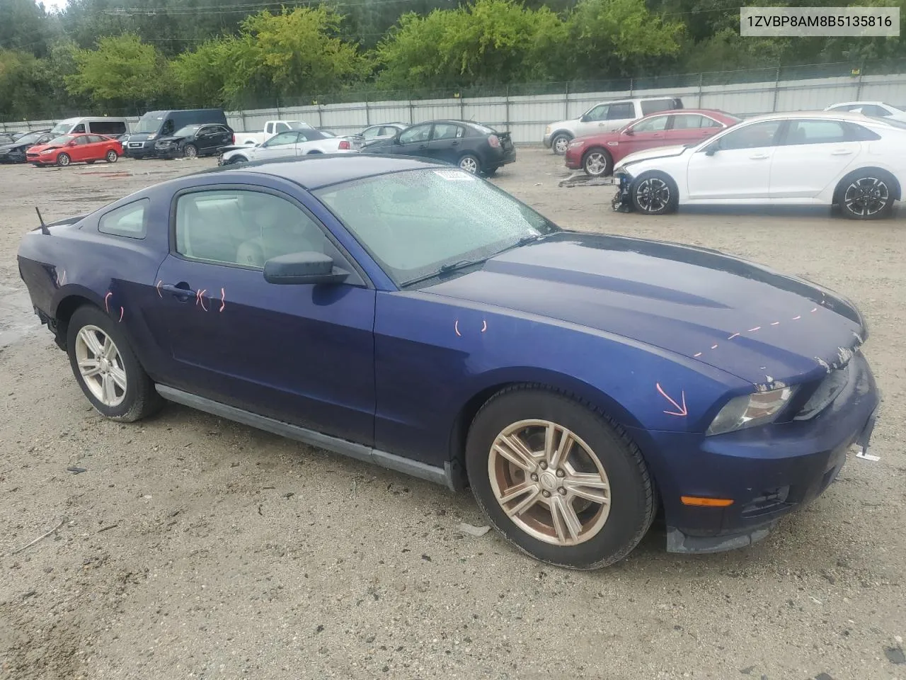 2011 Ford Mustang VIN: 1ZVBP8AM8B5135816 Lot: 72228814