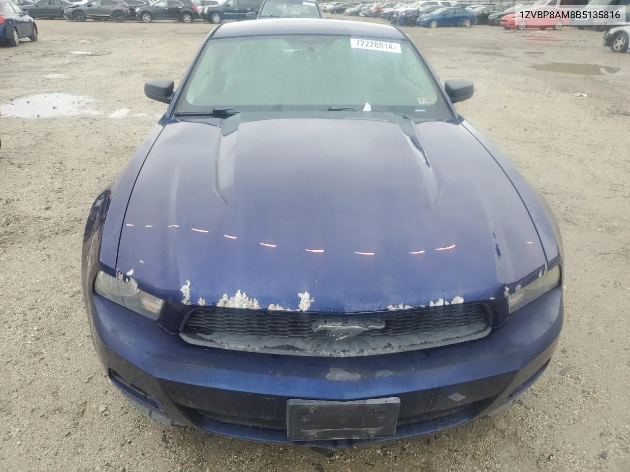 2011 Ford Mustang VIN: 1ZVBP8AM8B5135816 Lot: 72228814