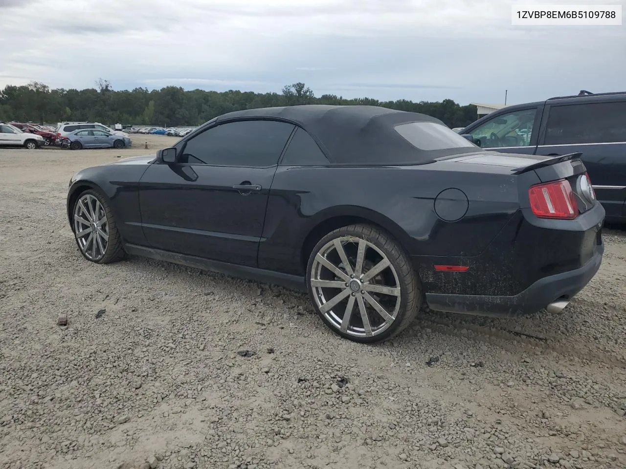 2011 Ford Mustang VIN: 1ZVBP8EM6B5109788 Lot: 73287074