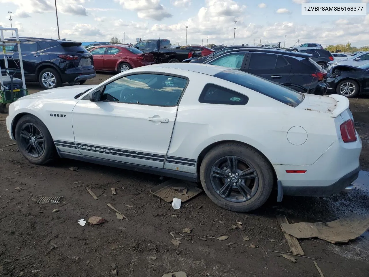 2011 Ford Mustang VIN: 1ZVBP8AM8B5168377 Lot: 73995564