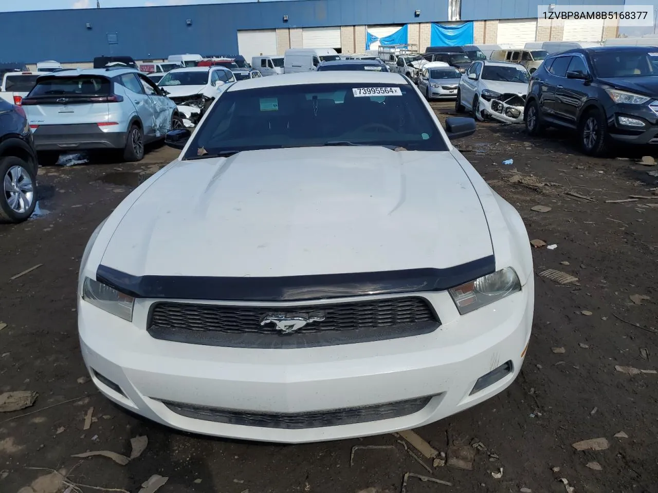 2011 Ford Mustang VIN: 1ZVBP8AM8B5168377 Lot: 73995564