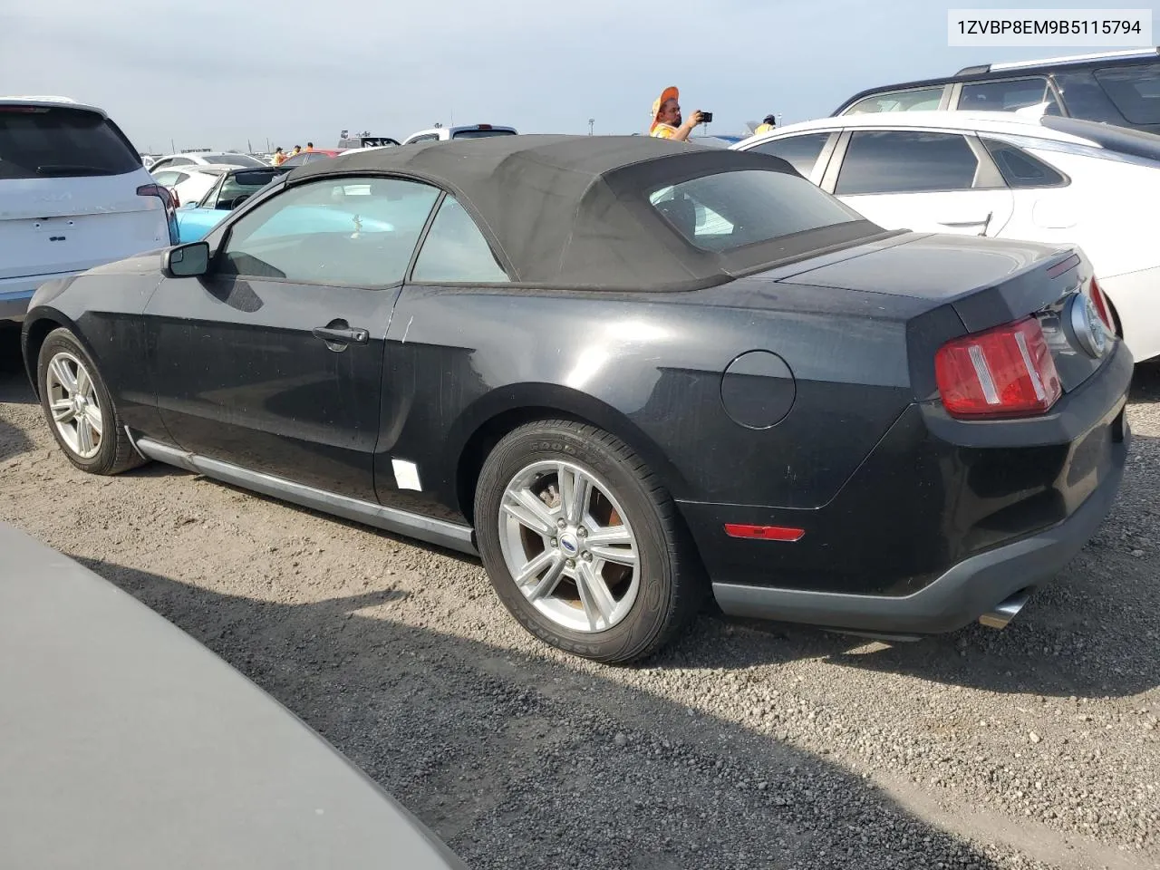 2011 Ford Mustang VIN: 1ZVBP8EM9B5115794 Lot: 76373804