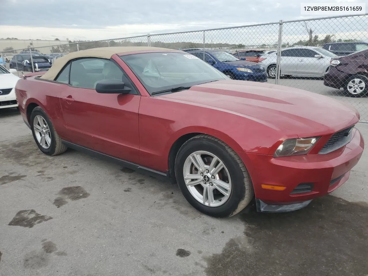 2011 Ford Mustang VIN: 1ZVBP8EM2B5161659 Lot: 81349994