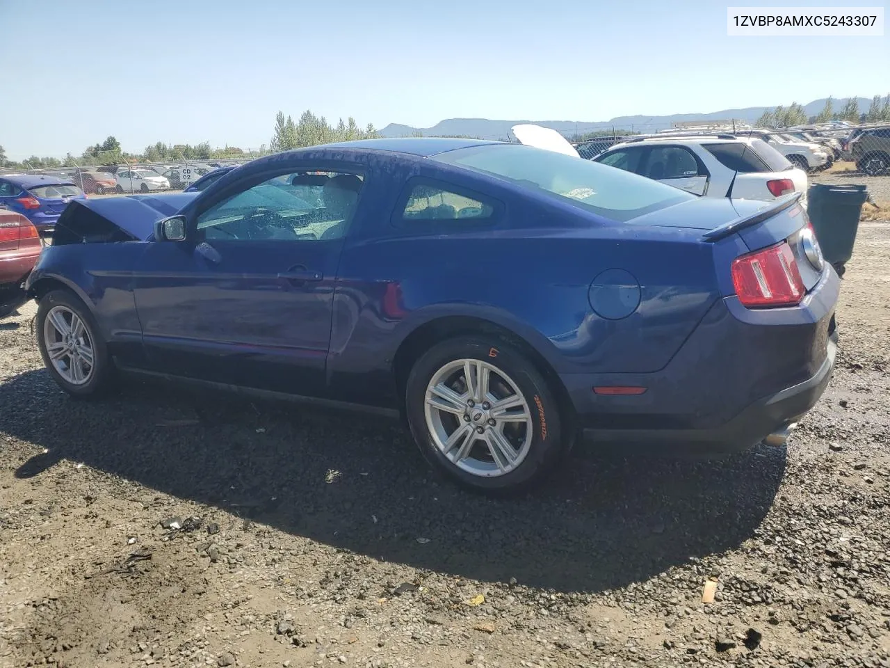 2012 Ford Mustang VIN: 1ZVBP8AMXC5243307 Lot: 62919044