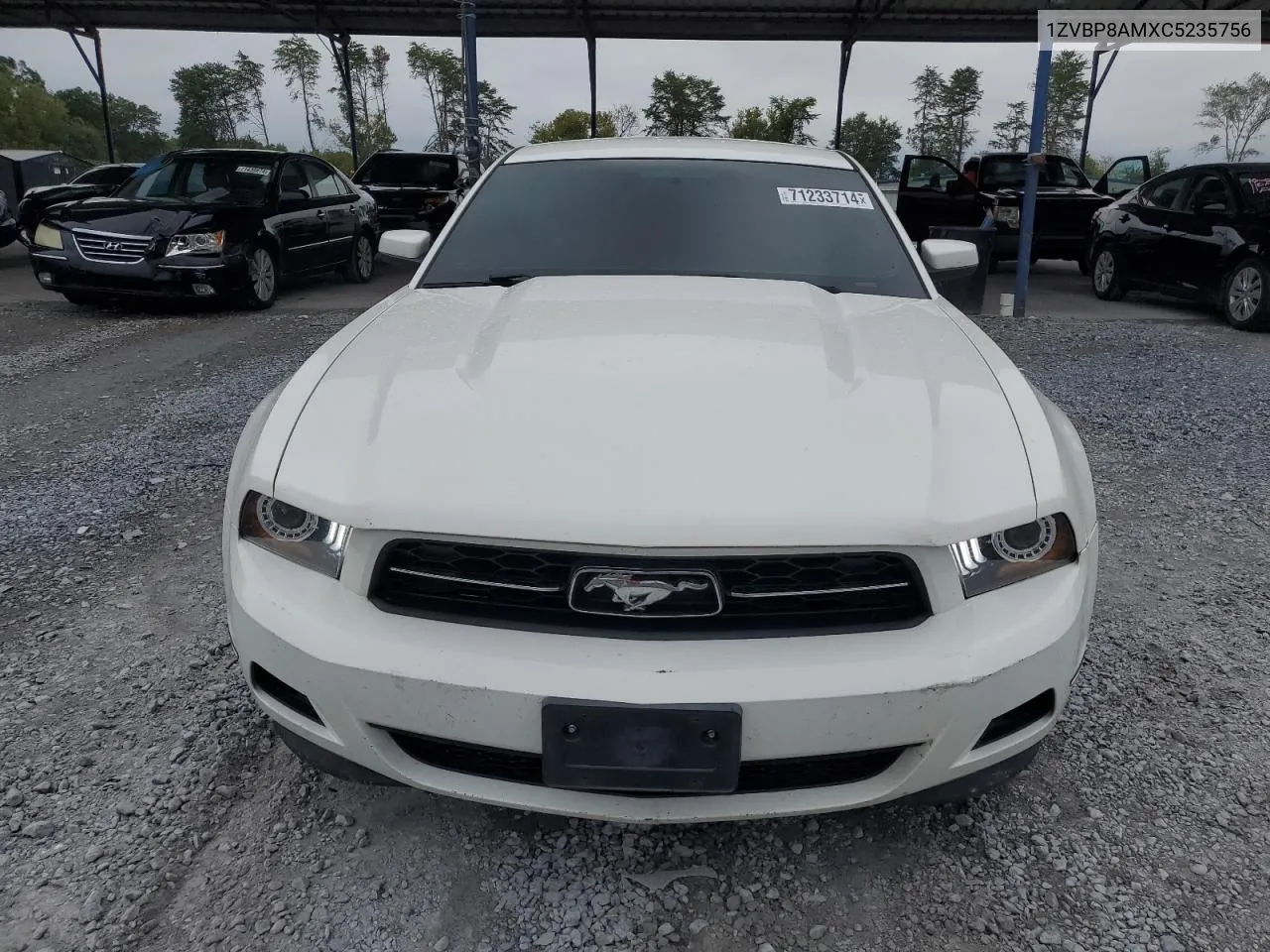 2012 Ford Mustang VIN: 1ZVBP8AMXC5235756 Lot: 71233714