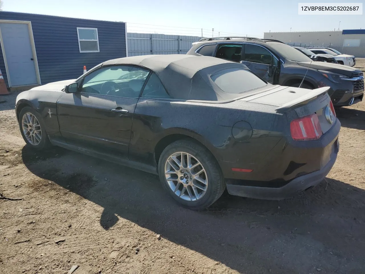 2012 Ford Mustang VIN: 1ZVBP8EM3C5202687 Lot: 73209084