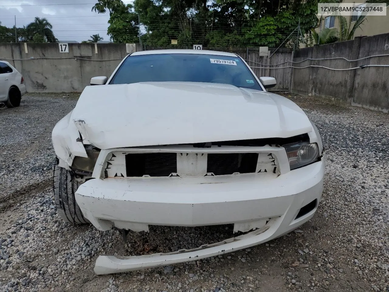 2012 Ford Mustang VIN: 1ZVBP8AM9C5237448 Lot: 79519124