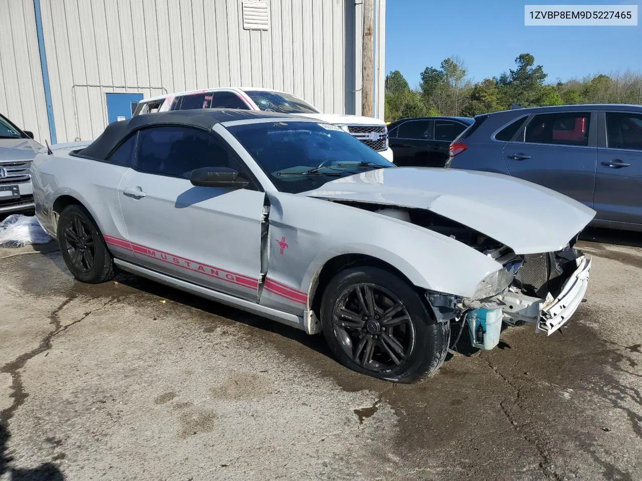 2013 Ford Mustang VIN: 1ZVBP8EM9D5227465 Lot: 48675584