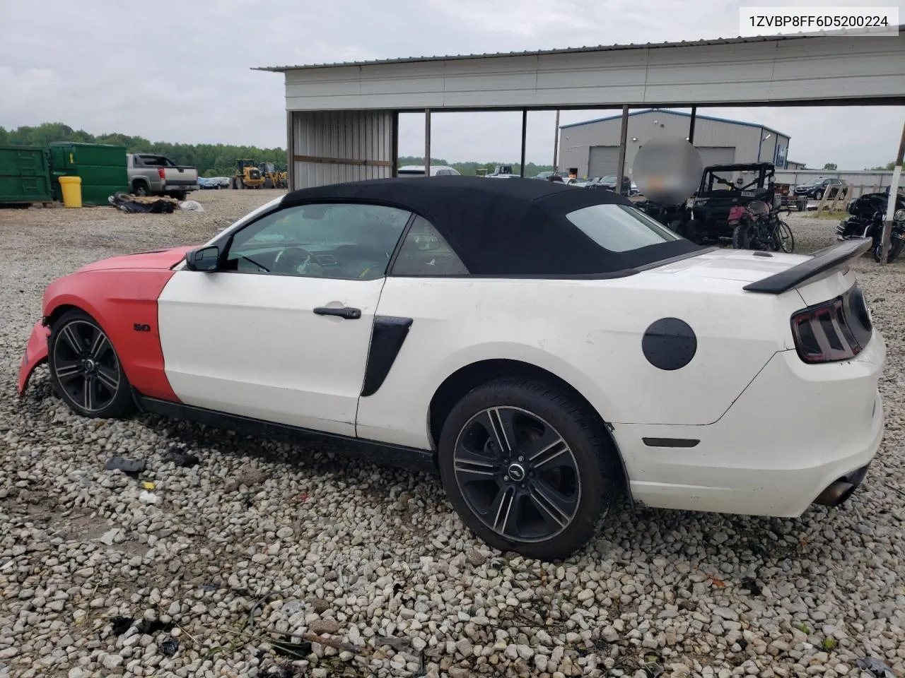 2013 Ford Mustang Gt VIN: 1ZVBP8FF6D5200224 Lot: 55915074