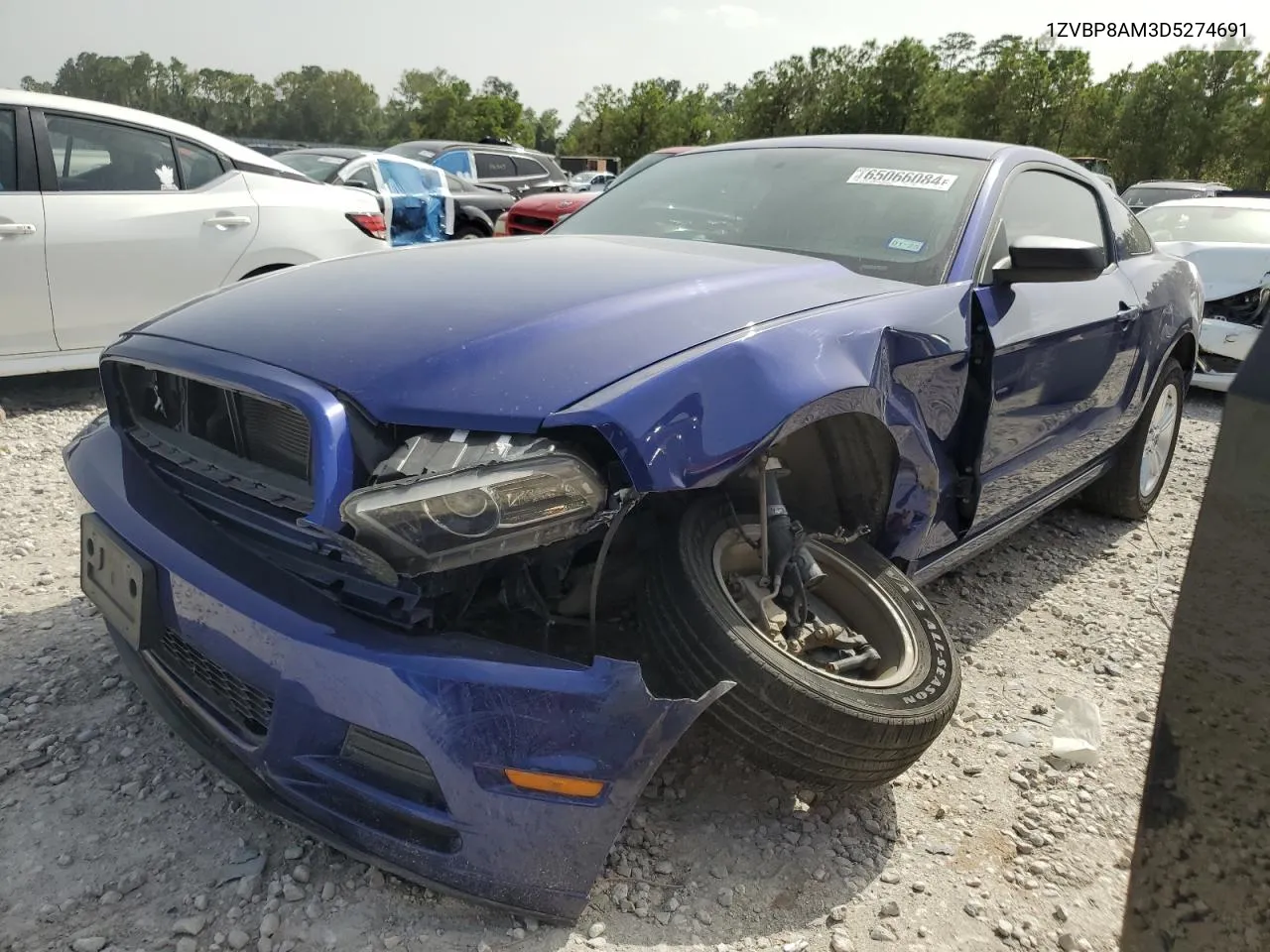 2013 Ford Mustang VIN: 1ZVBP8AM3D5274691 Lot: 65066084