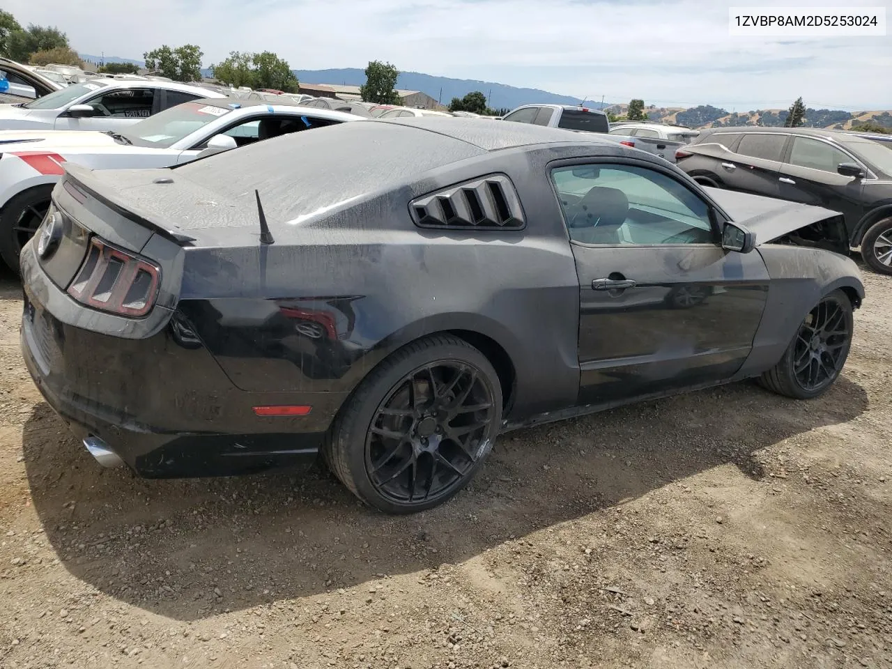 1ZVBP8AM2D5253024 2013 Ford Mustang