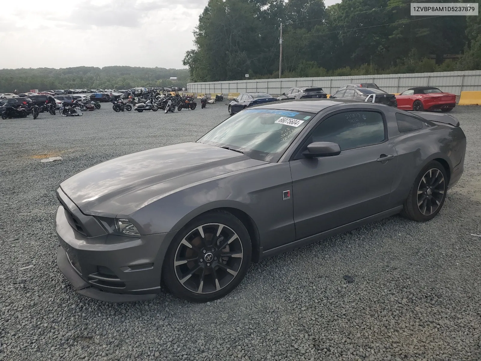 2013 Ford Mustang VIN: 1ZVBP8AM1D5237879 Lot: 66075604