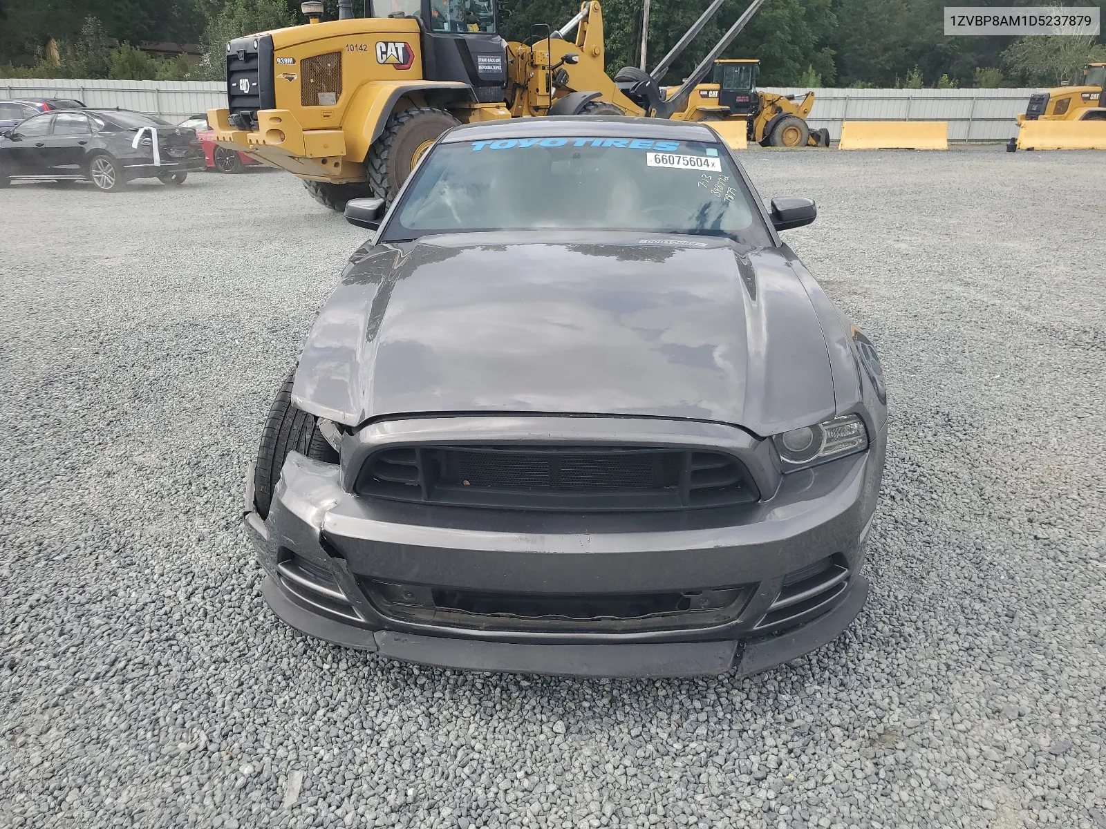 2013 Ford Mustang VIN: 1ZVBP8AM1D5237879 Lot: 66075604