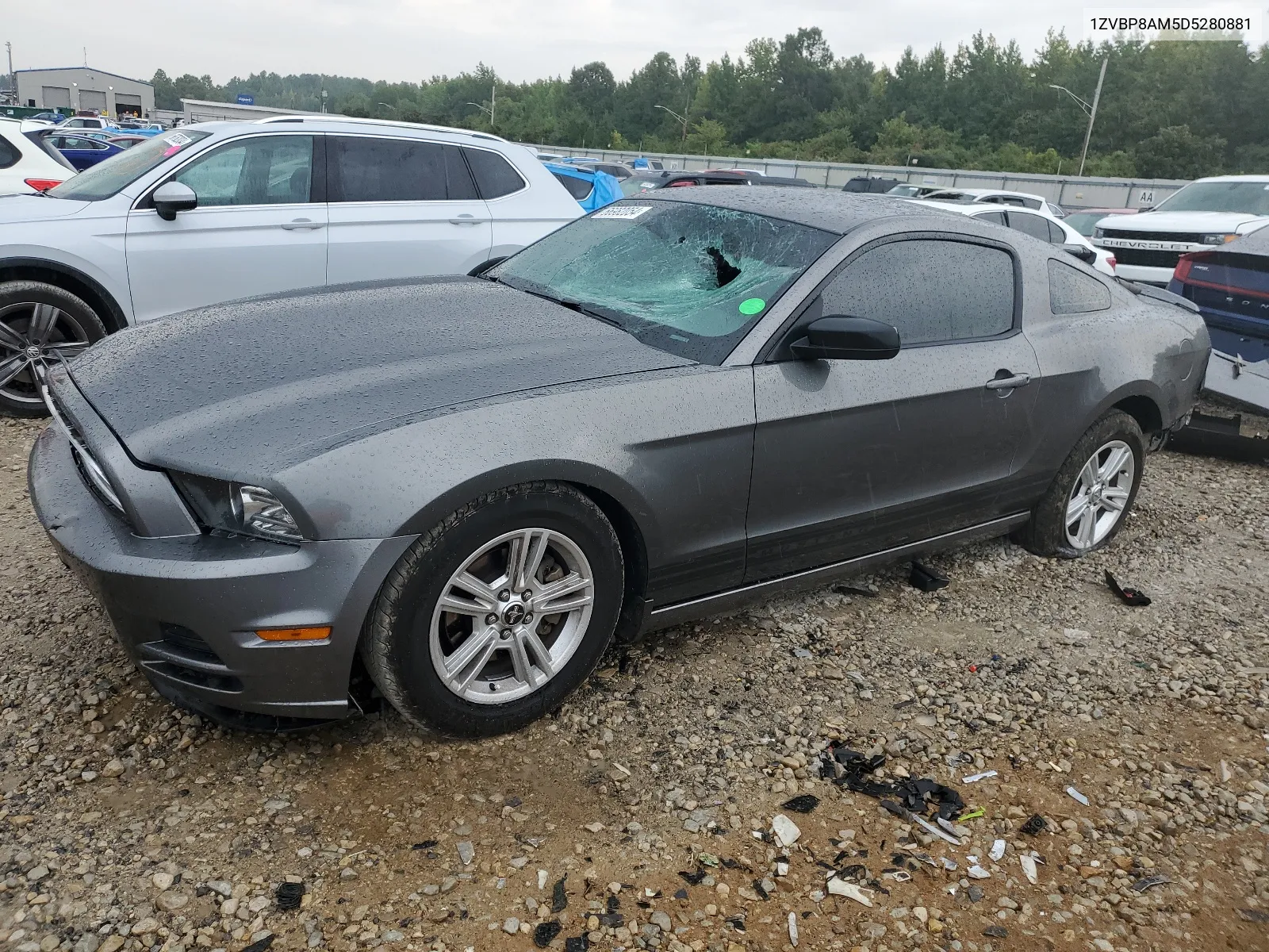 2013 Ford Mustang VIN: 1ZVBP8AM5D5280881 Lot: 66982054