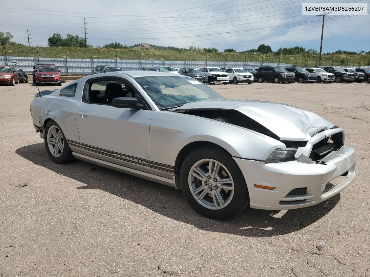 2013 Ford Mustang VIN: 1ZVBP8AM3D5256207 Lot: 67350164