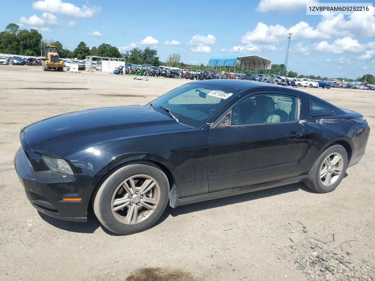 2013 Ford Mustang VIN: 1ZVBP8AM6D5252216 Lot: 69216664