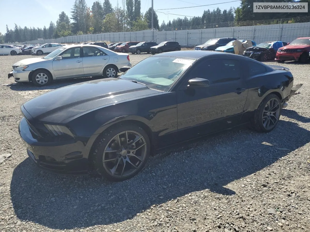 2013 Ford Mustang VIN: 1ZVBP8AM6D5236324 Lot: 69514924