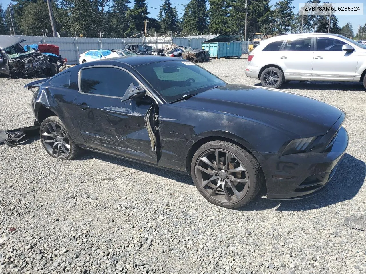 2013 Ford Mustang VIN: 1ZVBP8AM6D5236324 Lot: 69514924