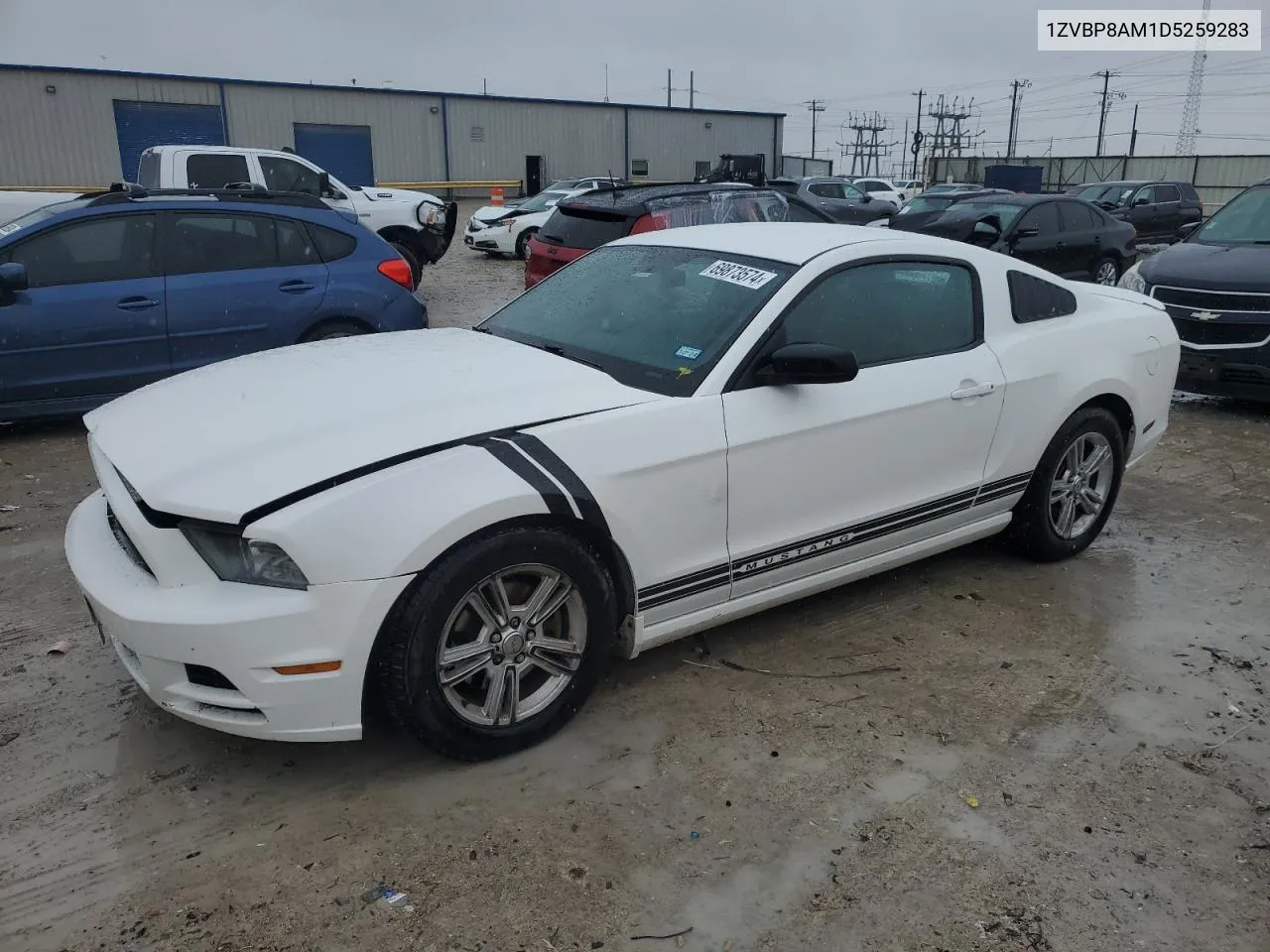 2013 Ford Mustang VIN: 1ZVBP8AM1D5259283 Lot: 69873574