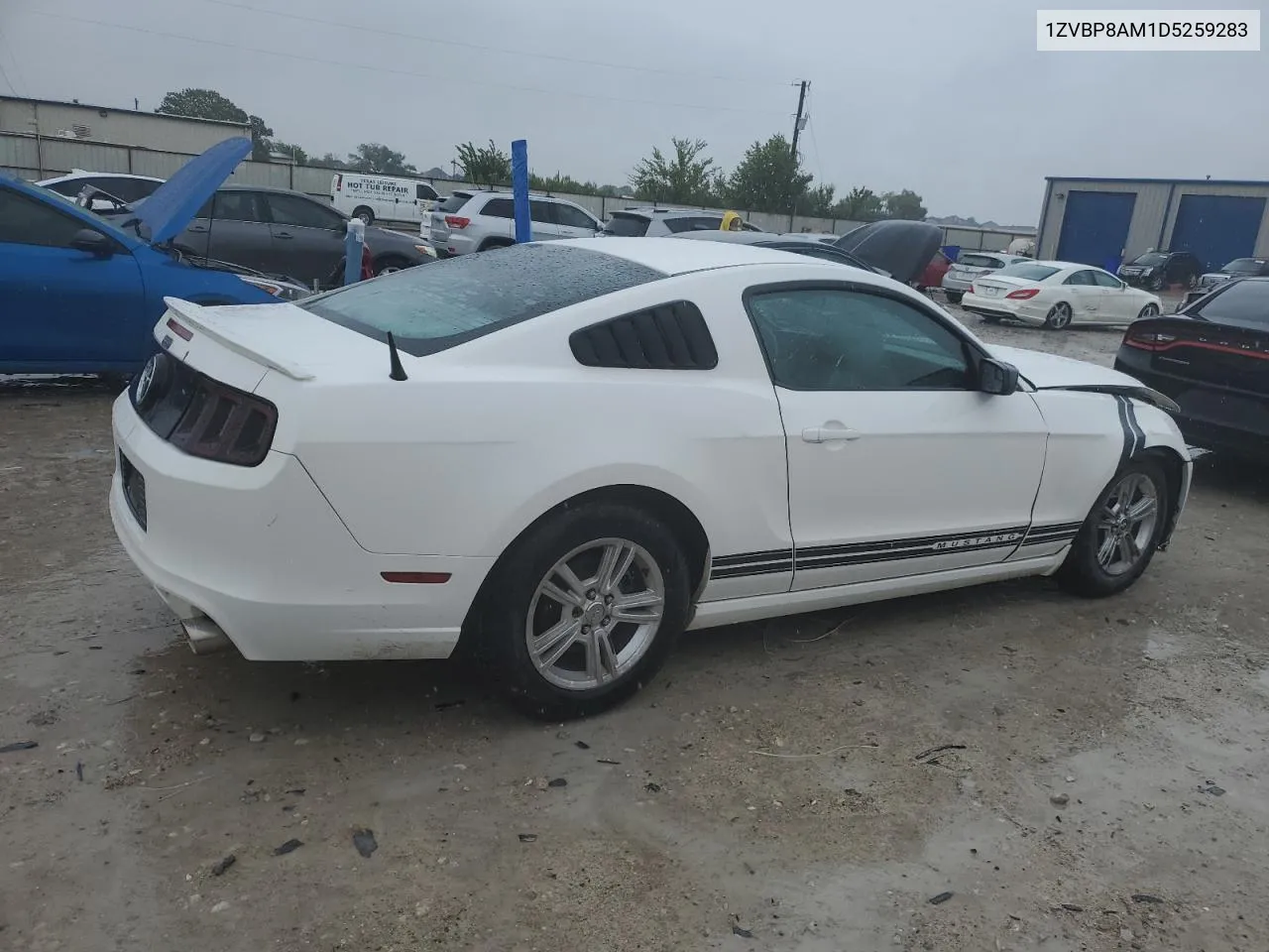 1ZVBP8AM1D5259283 2013 Ford Mustang