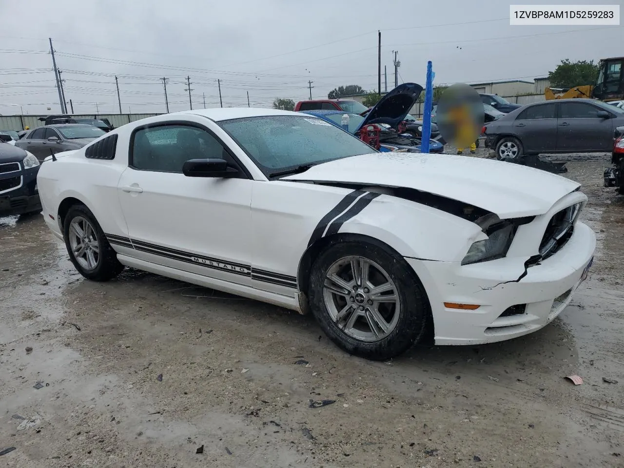 2013 Ford Mustang VIN: 1ZVBP8AM1D5259283 Lot: 69873574