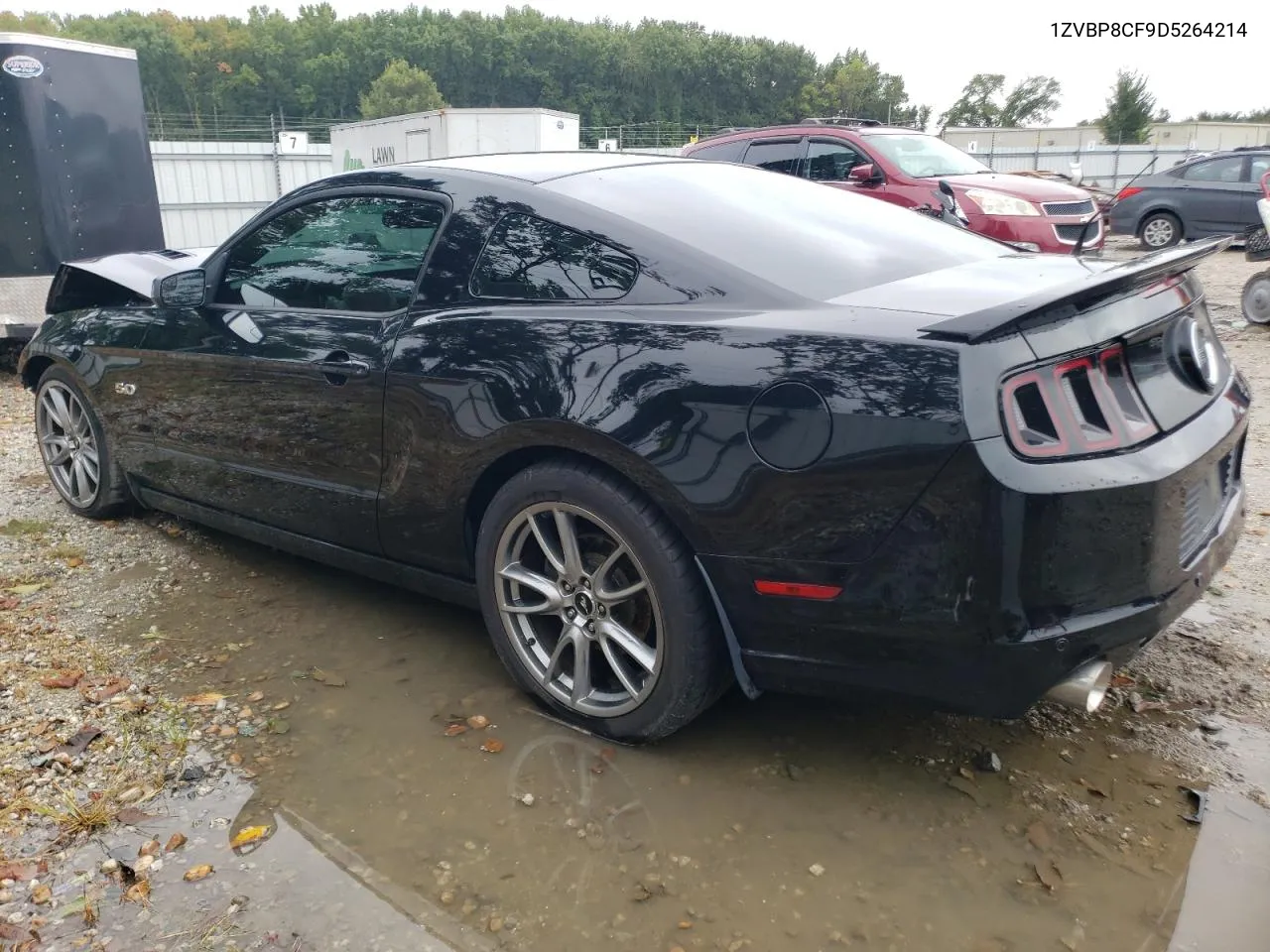 2013 Ford Mustang Gt VIN: 1ZVBP8CF9D5264214 Lot: 71087974