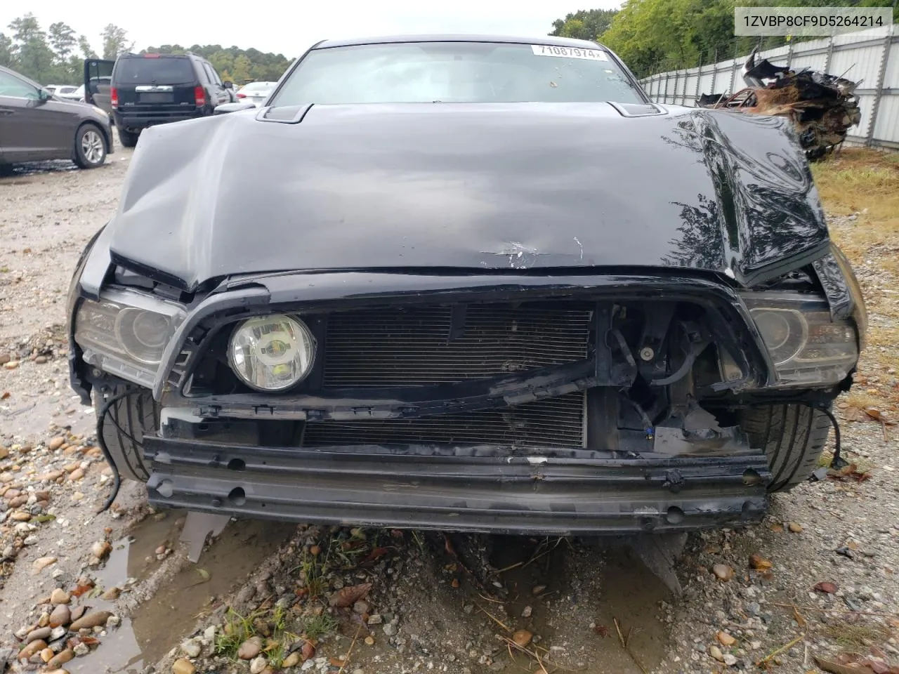 1ZVBP8CF9D5264214 2013 Ford Mustang Gt