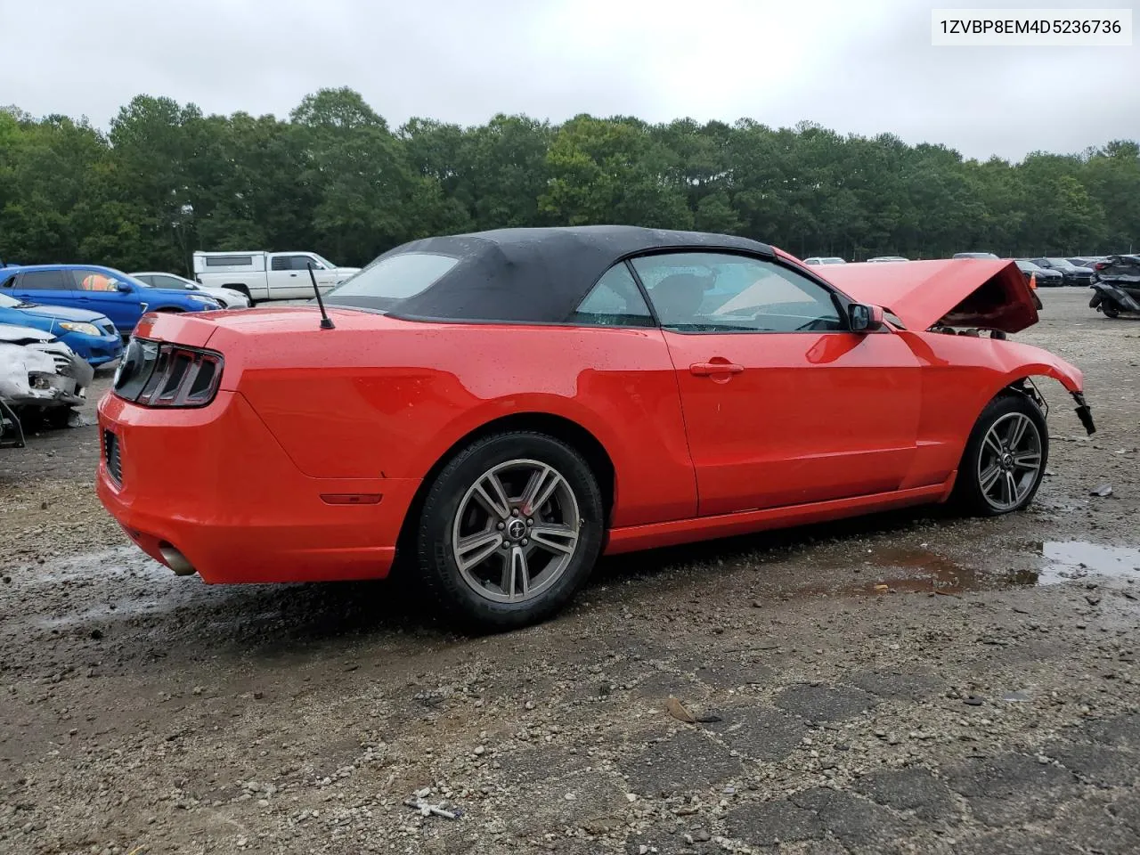 1ZVBP8EM4D5236736 2013 Ford Mustang