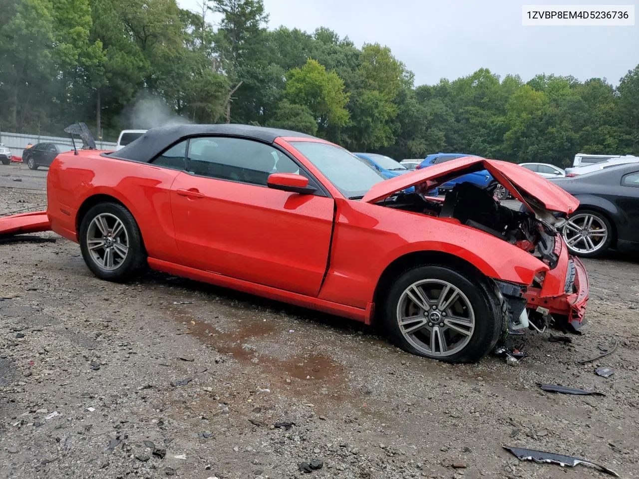 2013 Ford Mustang VIN: 1ZVBP8EM4D5236736 Lot: 71265324