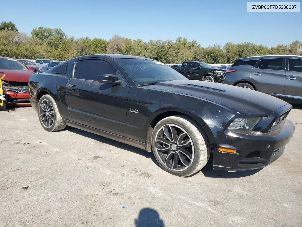 2013 Ford Mustang Gt VIN: 1ZVBP8CF7D5238307 Lot: 73871604