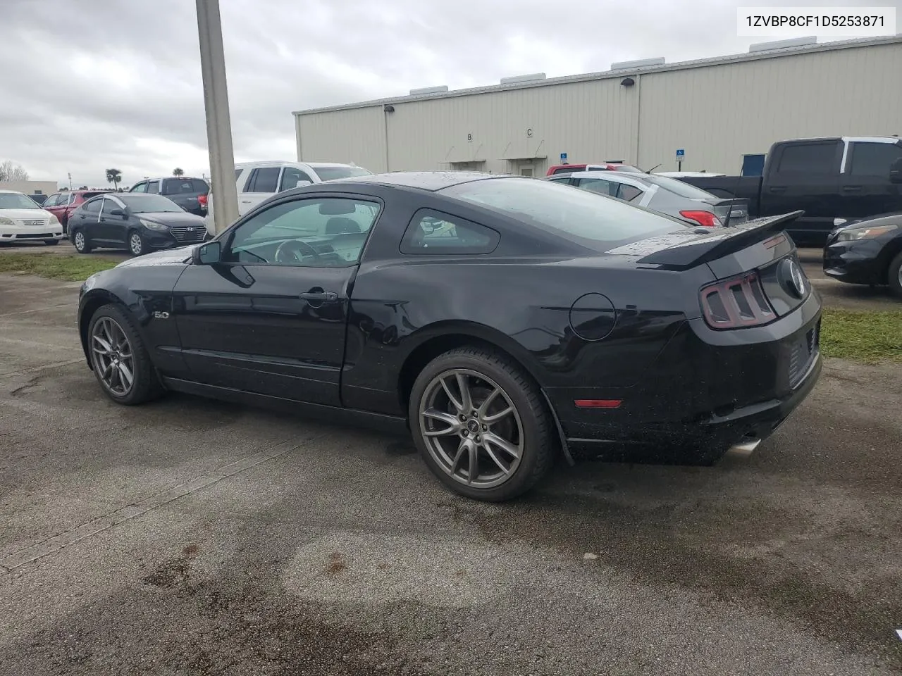 2013 Ford Mustang Gt VIN: 1ZVBP8CF1D5253871 Lot: 74724494