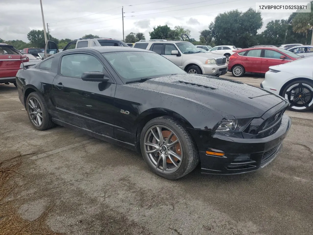 2013 Ford Mustang Gt VIN: 1ZVBP8CF1D5253871 Lot: 74724494