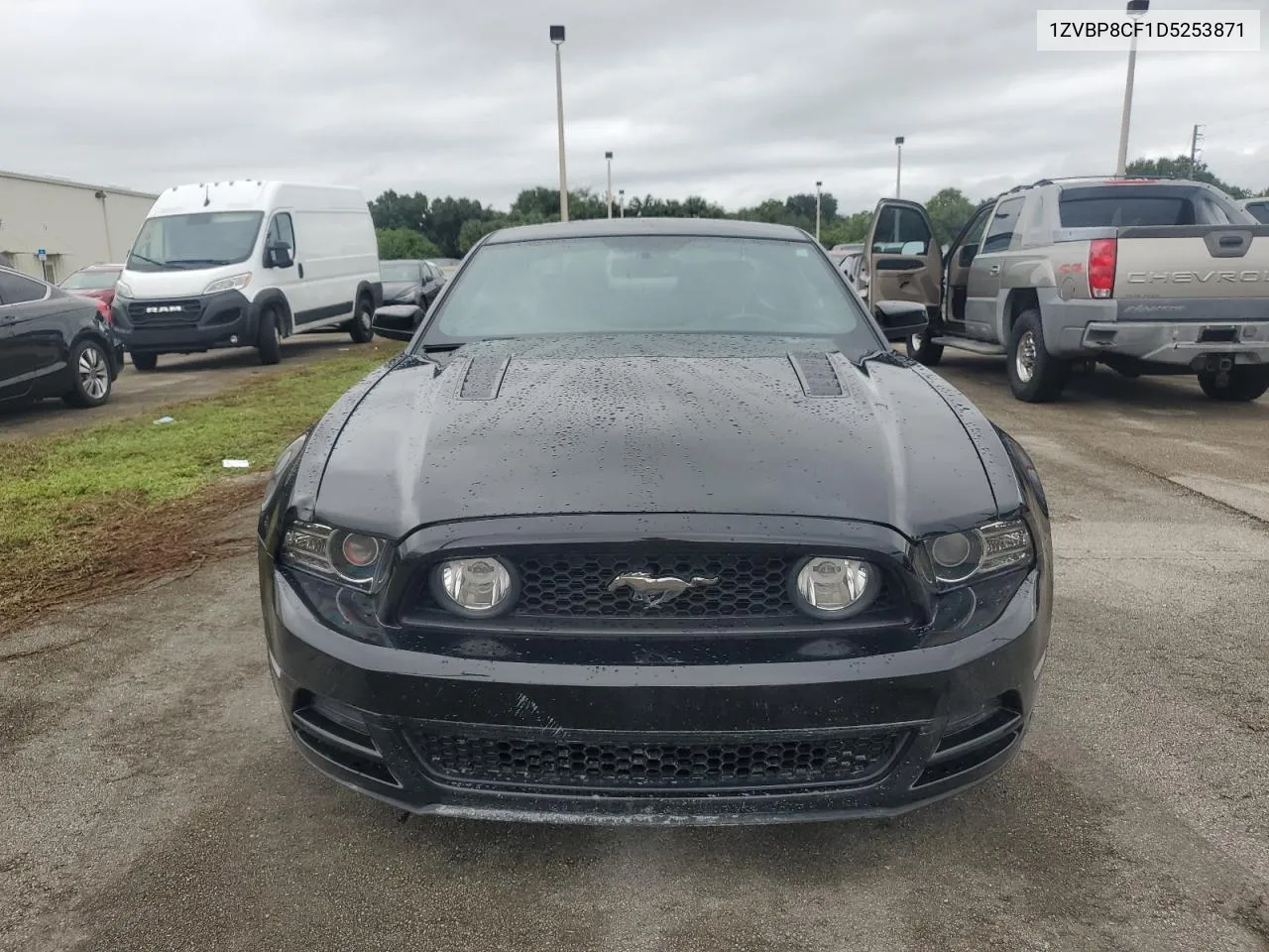 2013 Ford Mustang Gt VIN: 1ZVBP8CF1D5253871 Lot: 74724494