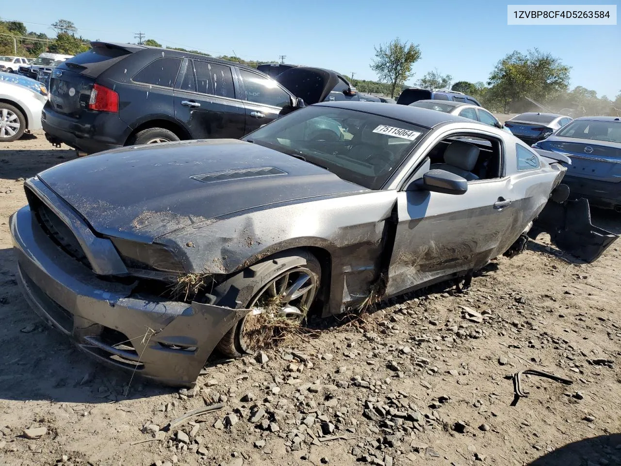 2013 Ford Mustang Gt VIN: 1ZVBP8CF4D5263584 Lot: 75115064