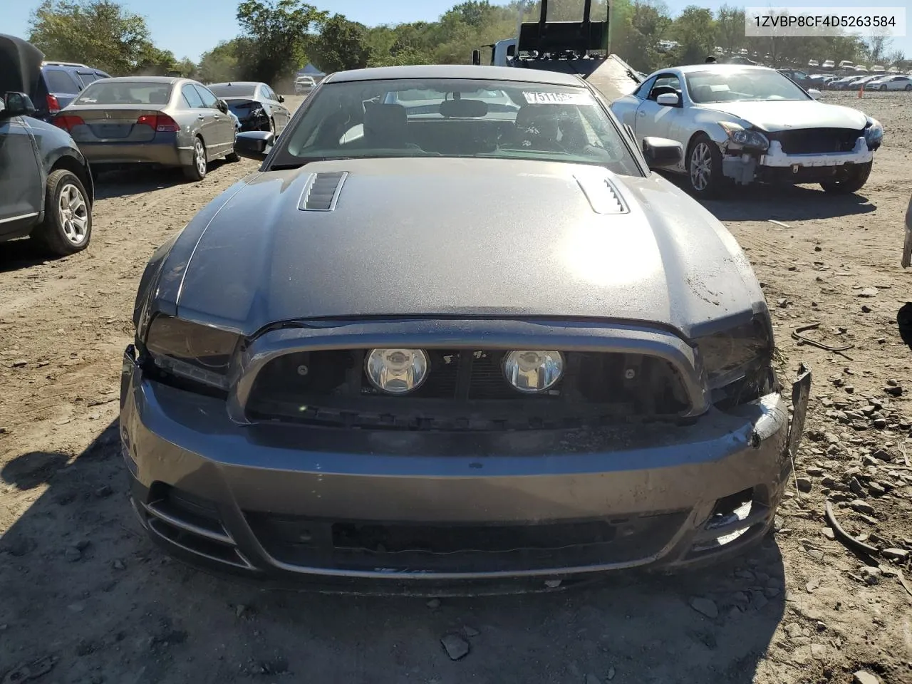 2013 Ford Mustang Gt VIN: 1ZVBP8CF4D5263584 Lot: 75115064