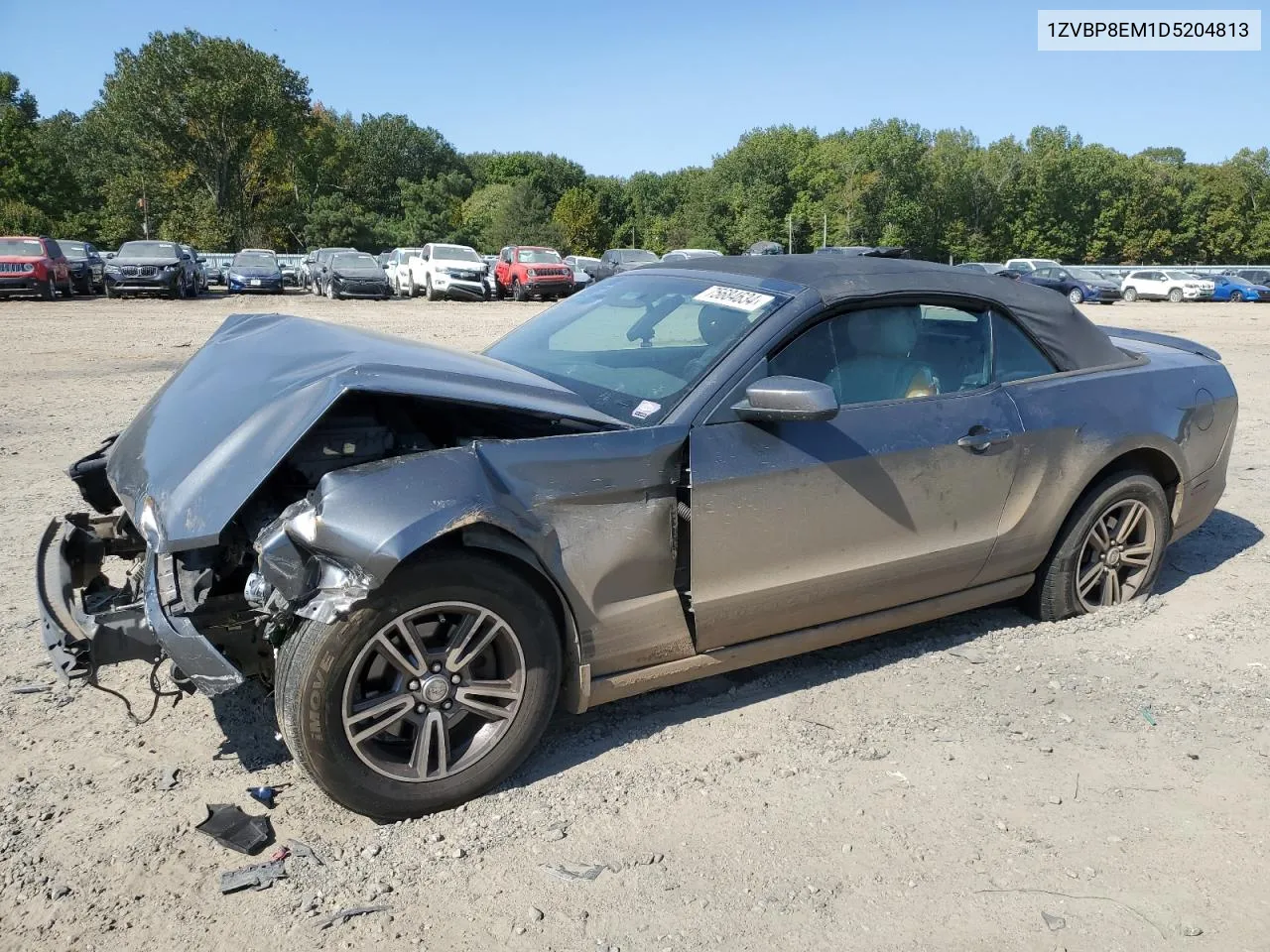 2013 Ford Mustang VIN: 1ZVBP8EM1D5204813 Lot: 75684634